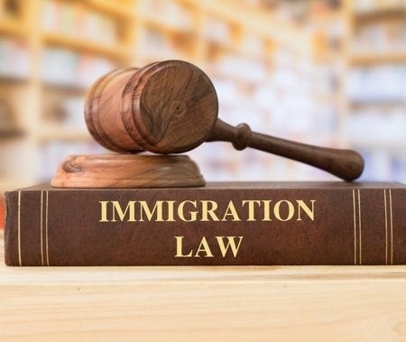 Immigration Law